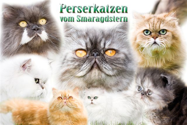 vom-smaragdstern.de