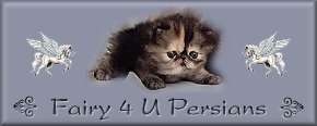 Fairy 4 U Persians